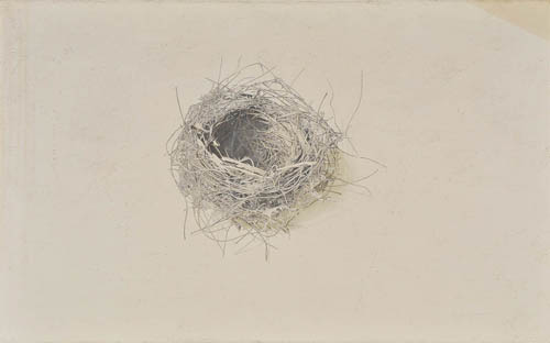 陶山 充/鳥の巣